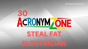 STEAL Acronym Fat Electrician